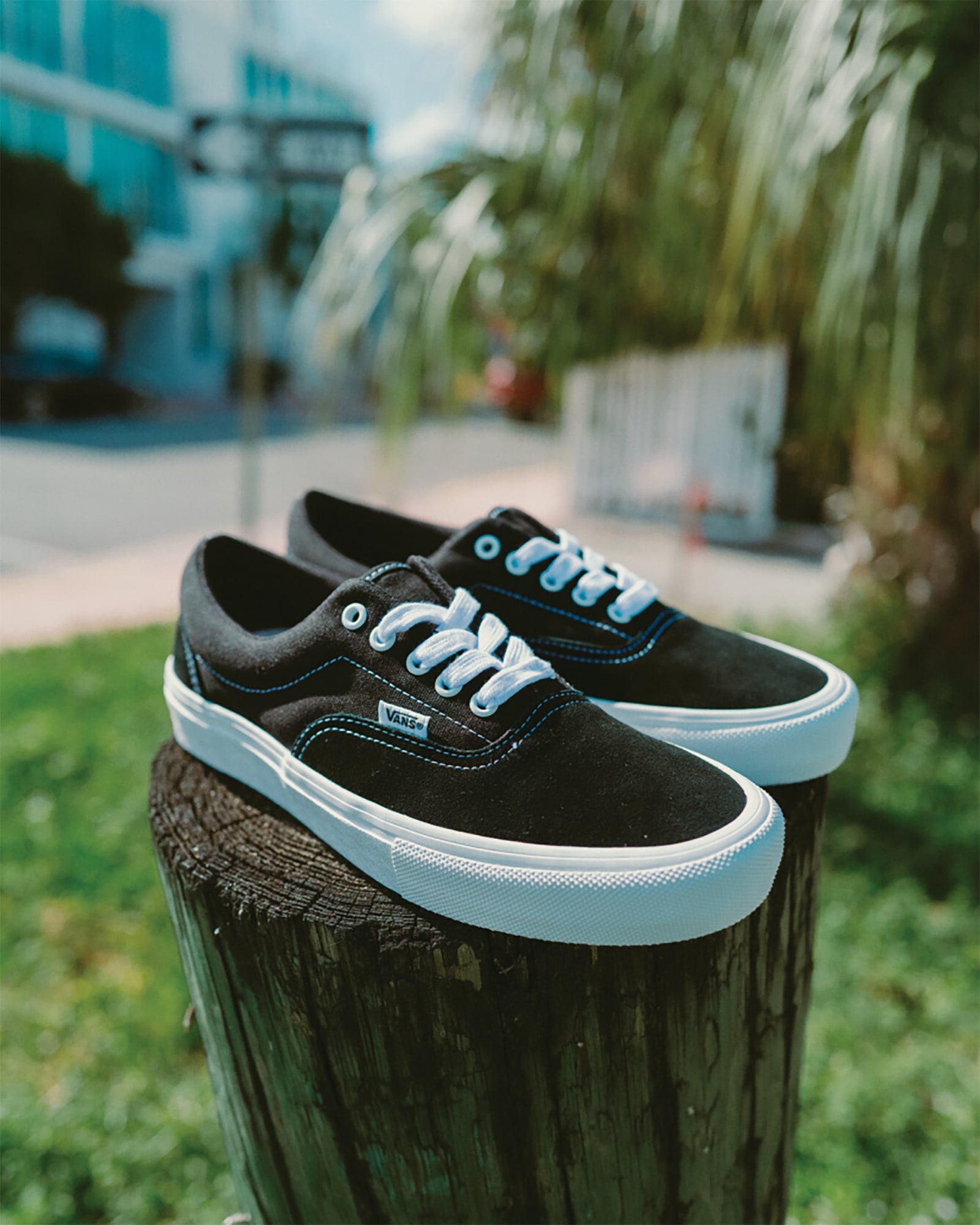 スケート エラ image number 8