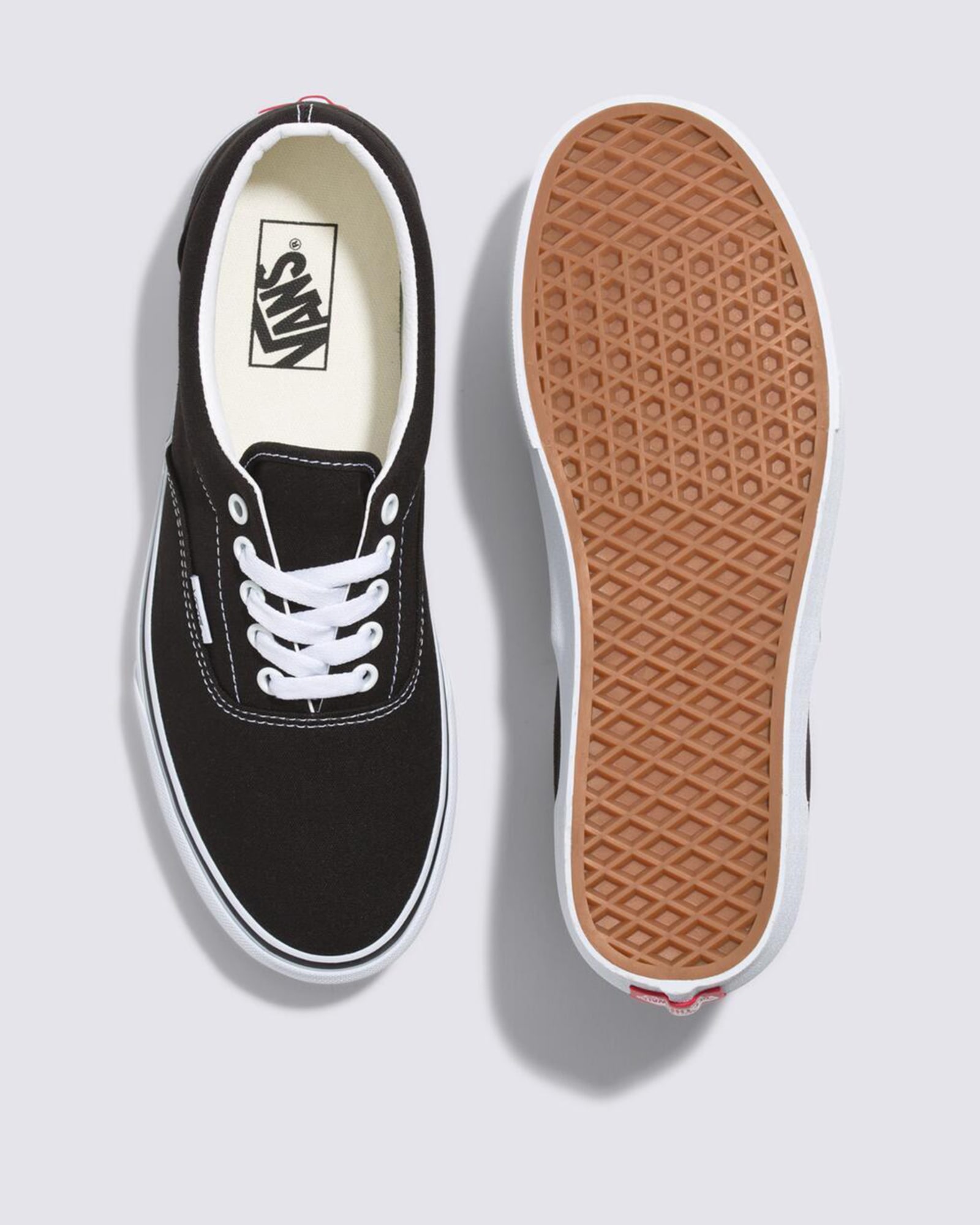 エラ image number 2