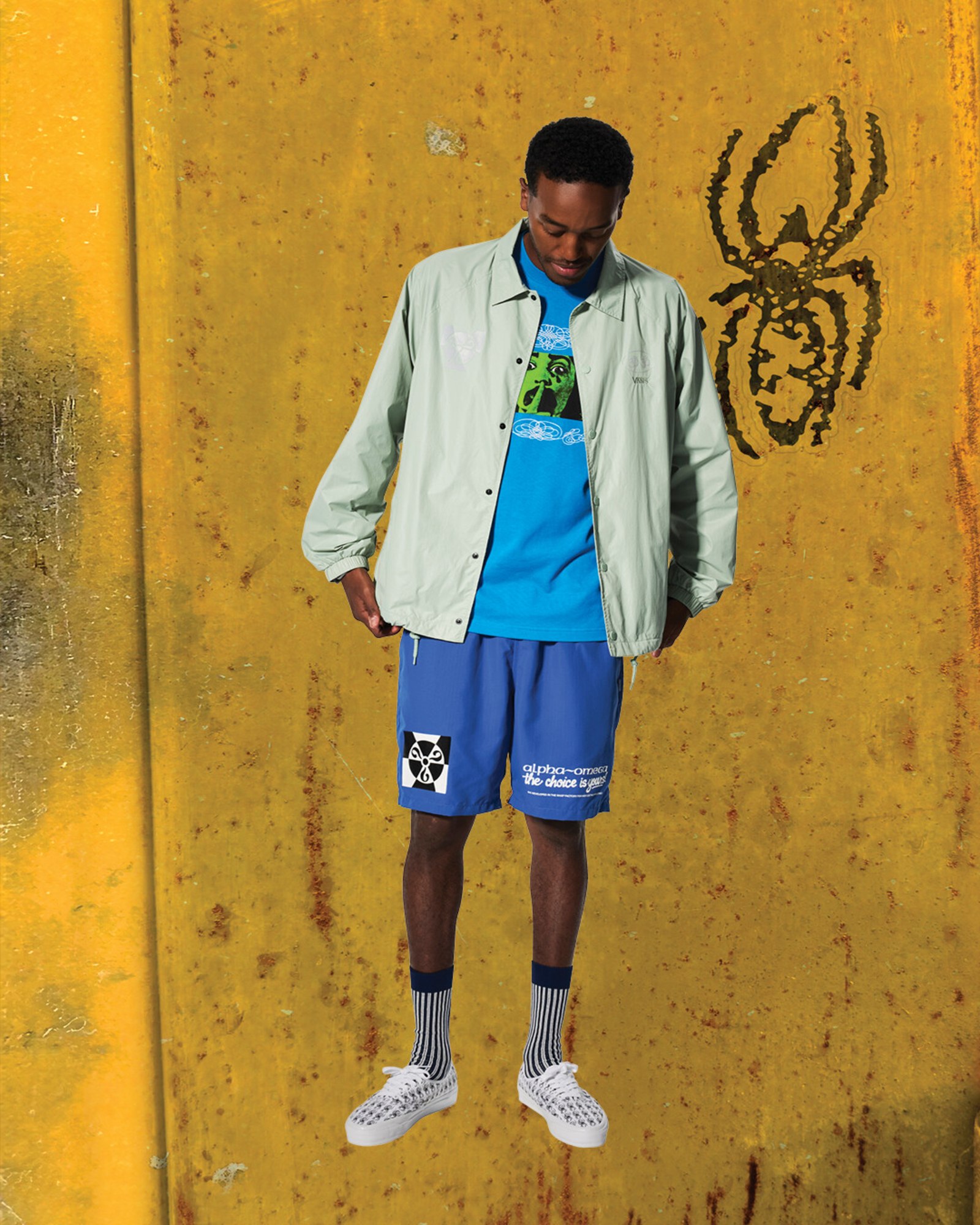 ED DAVIS コーチジャケット image number 6