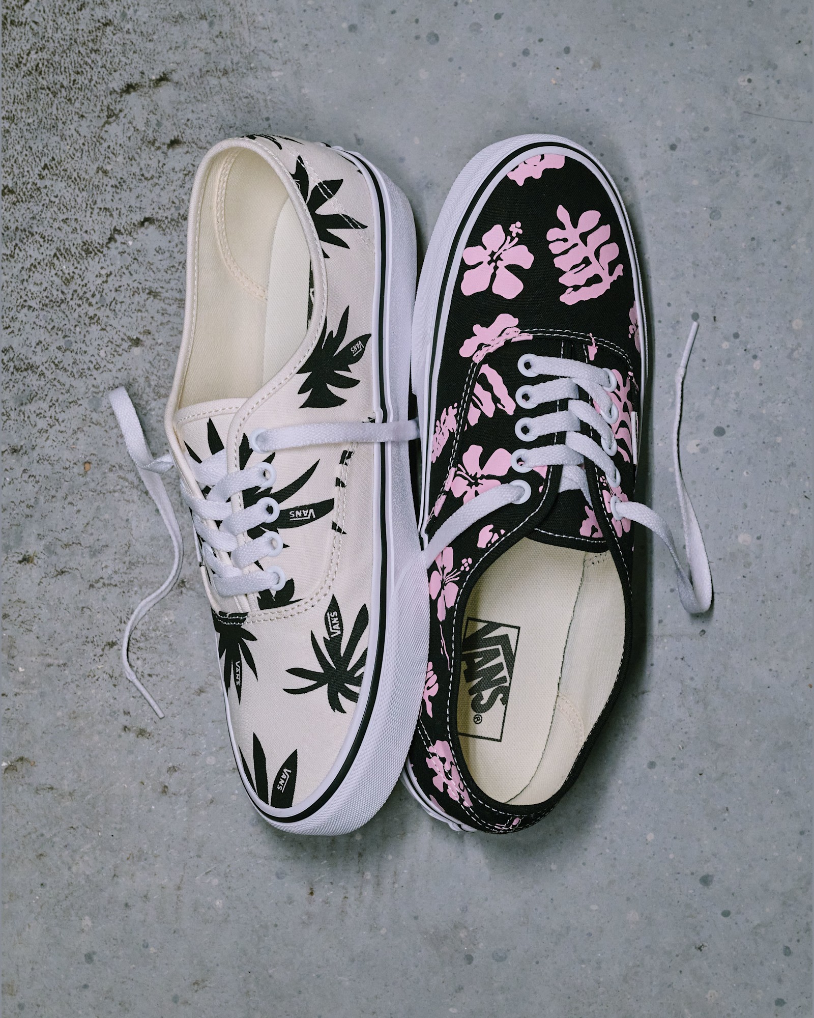 [4月1日発売] オーセンティック image number 6