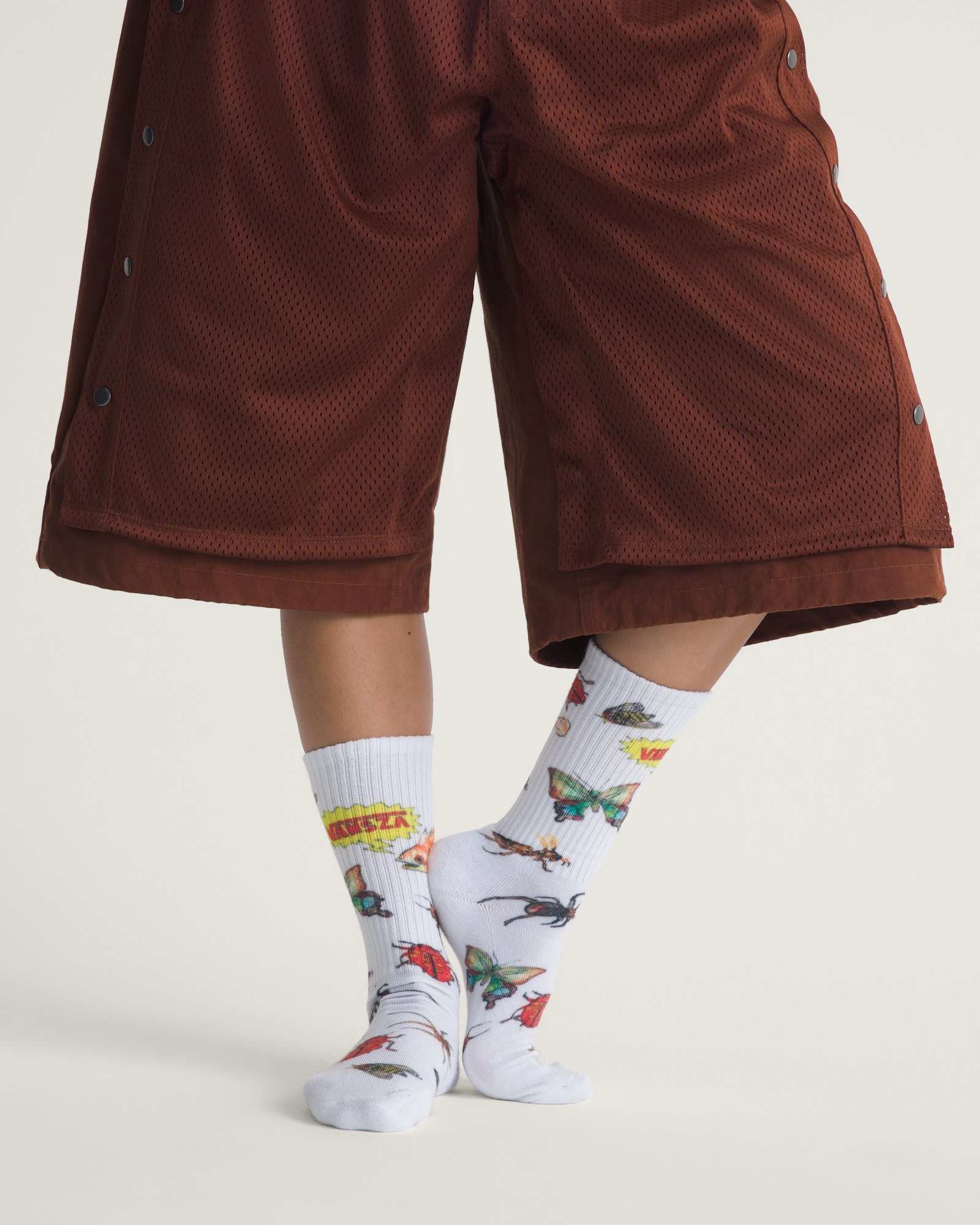 【10月22日発売】VANSZA クルーソックス image number 1