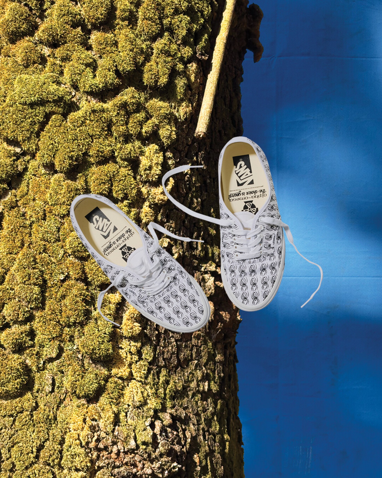 ED DAVIS オーセンティック