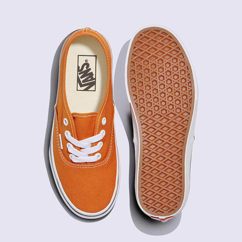 어센틱 컬러 띠어리